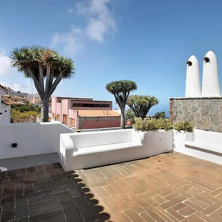 Linaje Del Pago Listan Negro Holiday home Tacoronte